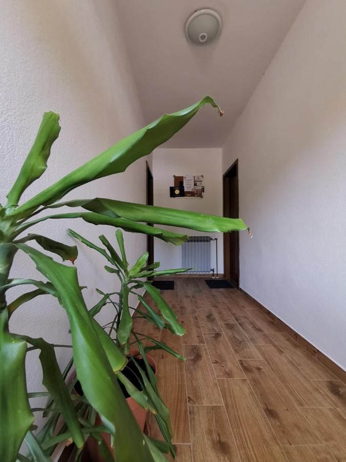 Apartment Martina Banjol 外观 照片